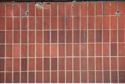 Photo Textures of Tiles